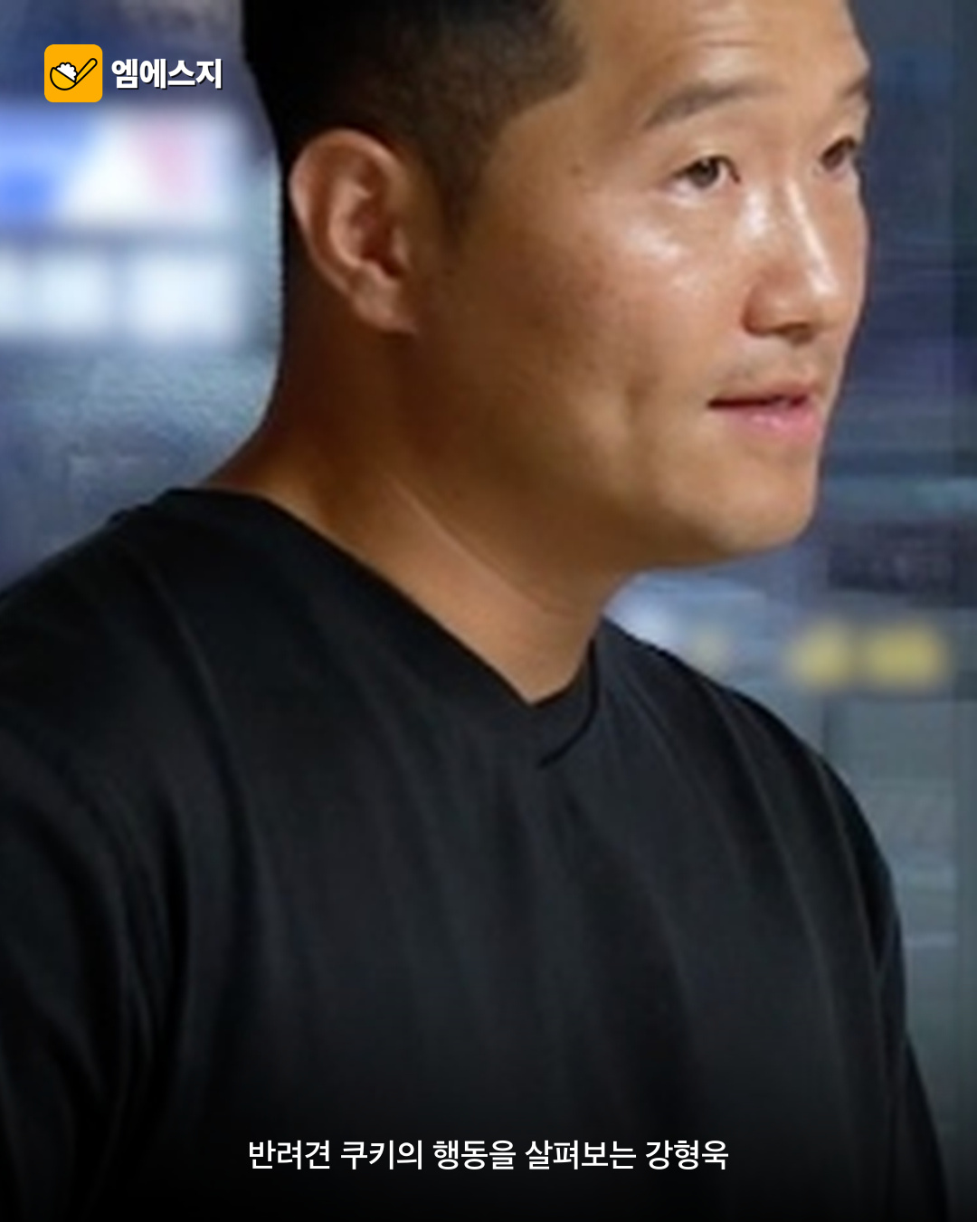 강형욱, 쿠키 행동 “애정과 통제 뒤범벅”…보디랭귀지 훈련 제시 4 강형욱 쿠키 행동 애정과 통제 진단 관련 이미지 3