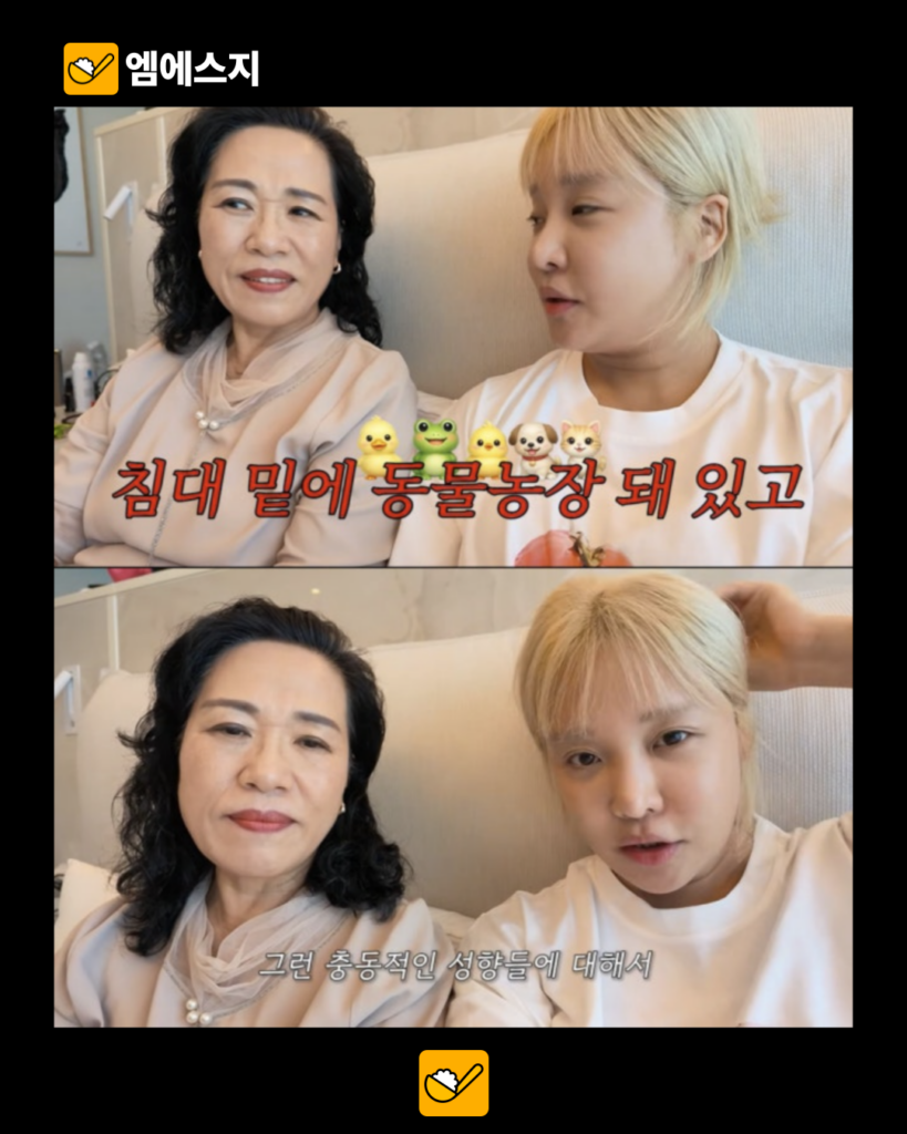 랄랄, ‘절연설’ 돌았던 엄마와 함께 등장…ADHD 딸 키운 방법 직접 물었다 4 007 33