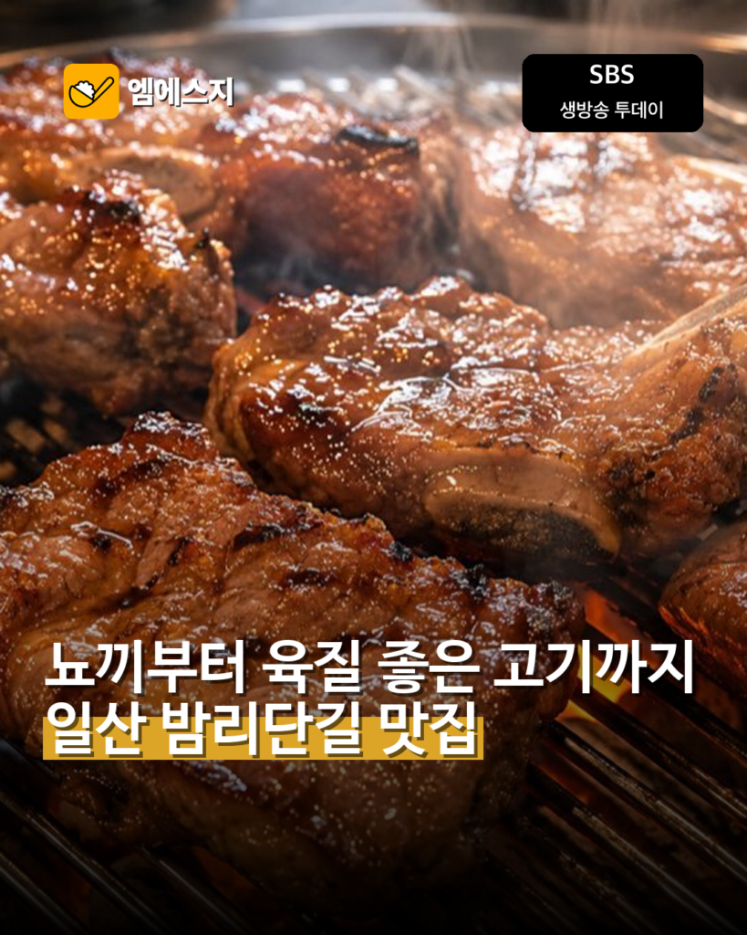 ‘생방송 투데이’ 일산 밤리단길 맛집…뇨끼부터 중식·한식까지