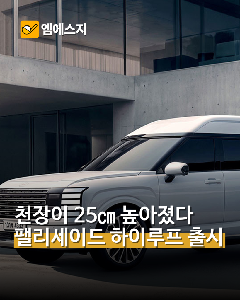 팰리세이드 하이루프 출시, 실내 높이 키웠다
