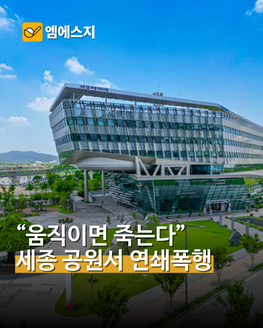 세종시 공원서 10분 간격 시민 2명 연쇄 폭행
