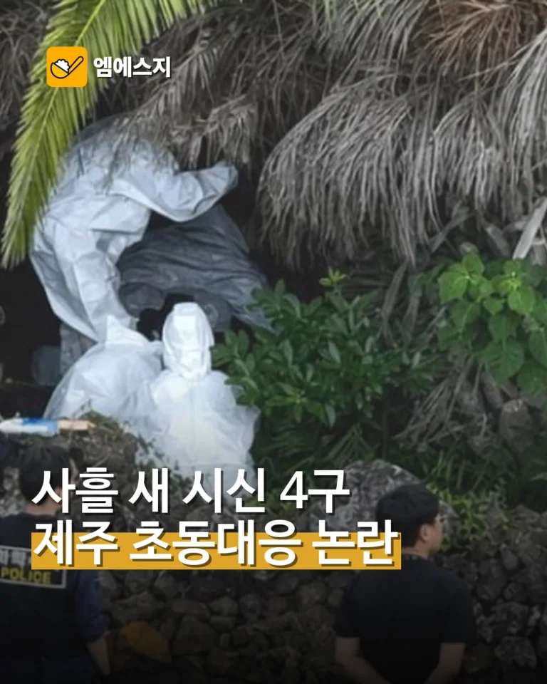 제주서 사흘 새 실종자 추정 시신 4구…초동대응 논란 커졌다