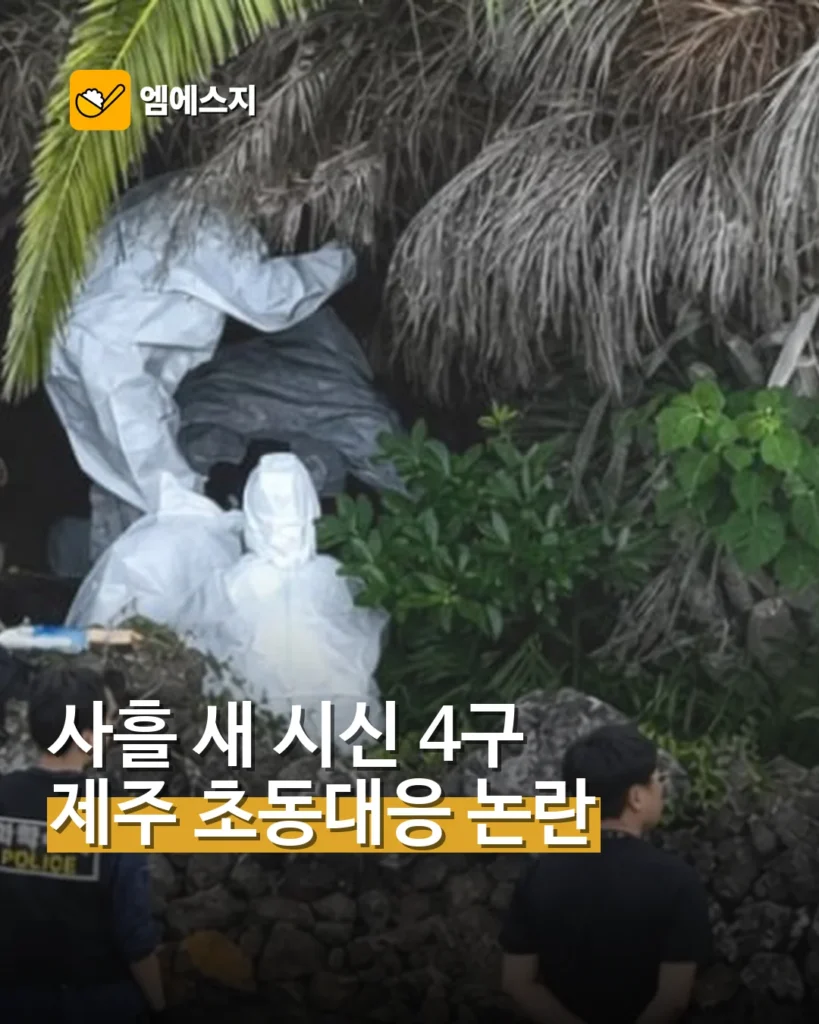 제주서 사흘 새 실종자 추정 시신 4구…초동대응 논란 커졌다