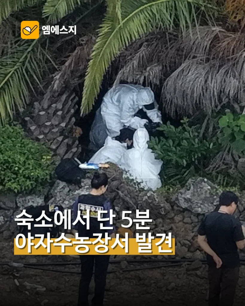장미란 씨, 숙소서 5분 거리 야자수농장서 발견…남은 의문들