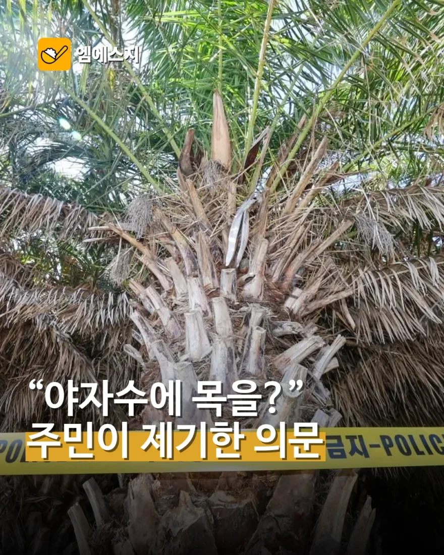 “야자수에 목을?” 장미란 씨 발견 현장 두고 주민이 제기한 의문