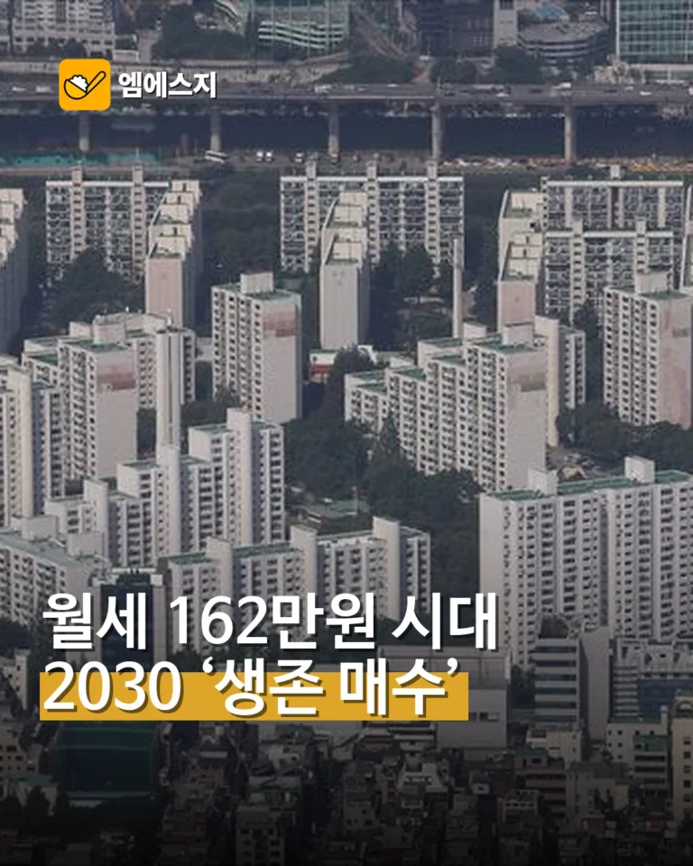 월세 162만원 시대…2030이 말하는 ‘생존 매수’
