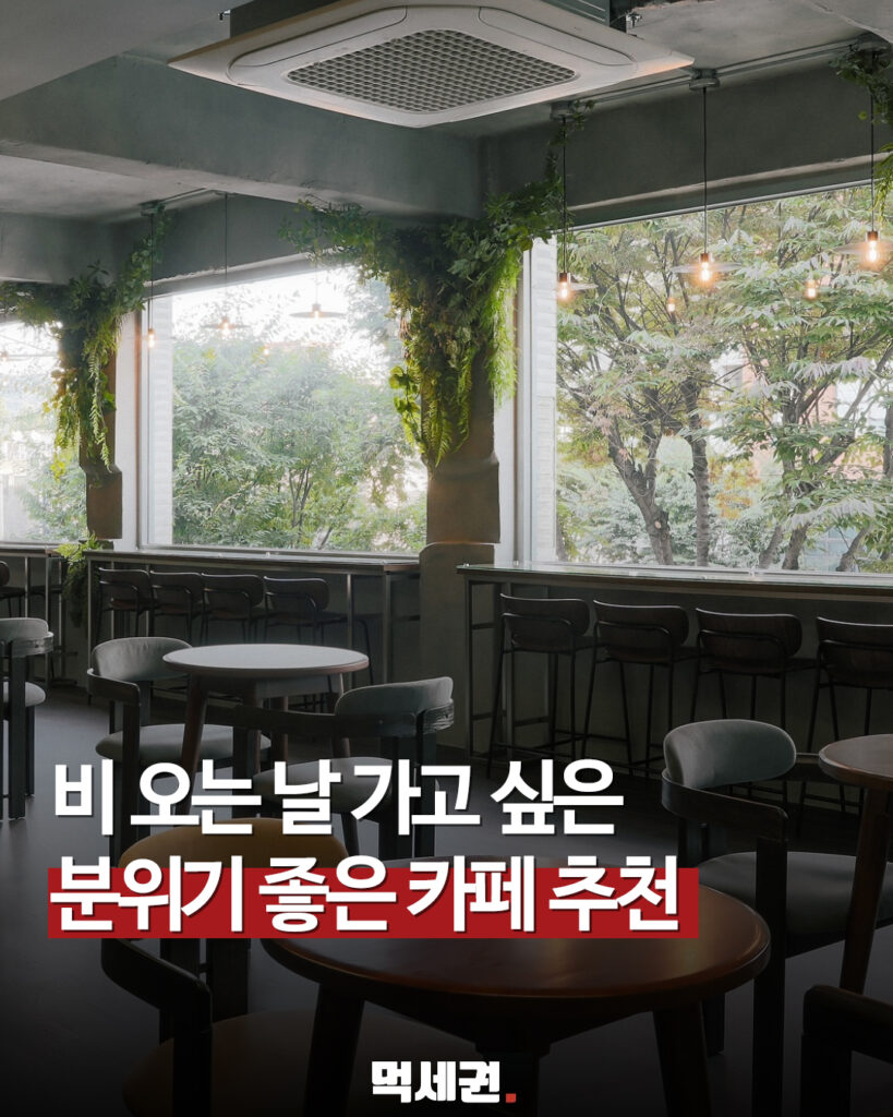 1층부터 3층까지 여유로운 동선…화양동 베이커리 카페 오소리 베이커리, 건대 어린이대공원역, 세종대 대형 카페, 주차 정보, 할인 가격 정보 2 569 오소리비오는날 1