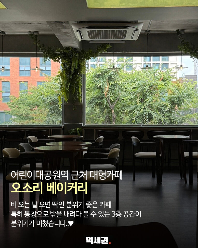 1층부터 3층까지 여유로운 동선…화양동 베이커리 카페 오소리 베이커리, 건대 어린이대공원역, 세종대 대형 카페, 주차 정보, 할인 가격 정보 3 569 오소리비오는날 2