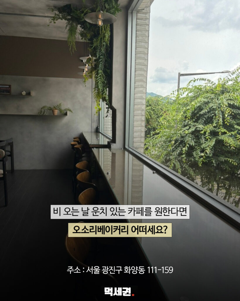 1층부터 3층까지 여유로운 동선…화양동 베이커리 카페 오소리 베이커리, 건대 어린이대공원역, 세종대 대형 카페, 주차 정보, 할인 가격 정보 6 569 오소리비오는날 5