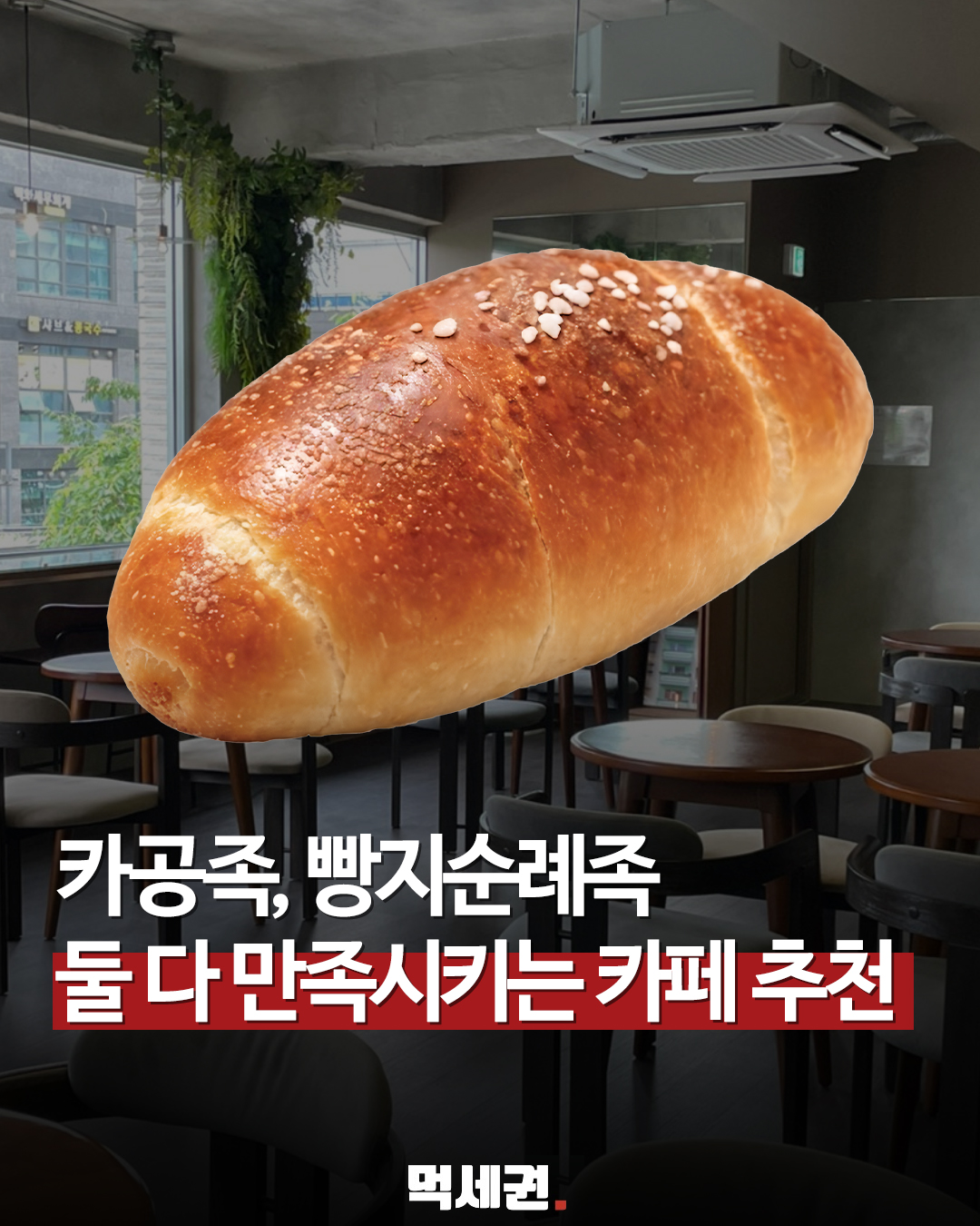 "노트북 작업하기 좋은 카페?"…화양동 오소리베이커리의 공간 특징, 실제 후기 및 주차 정보