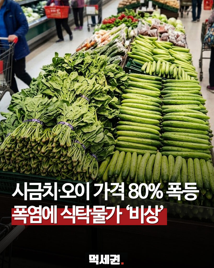 602 시금치오이폭등