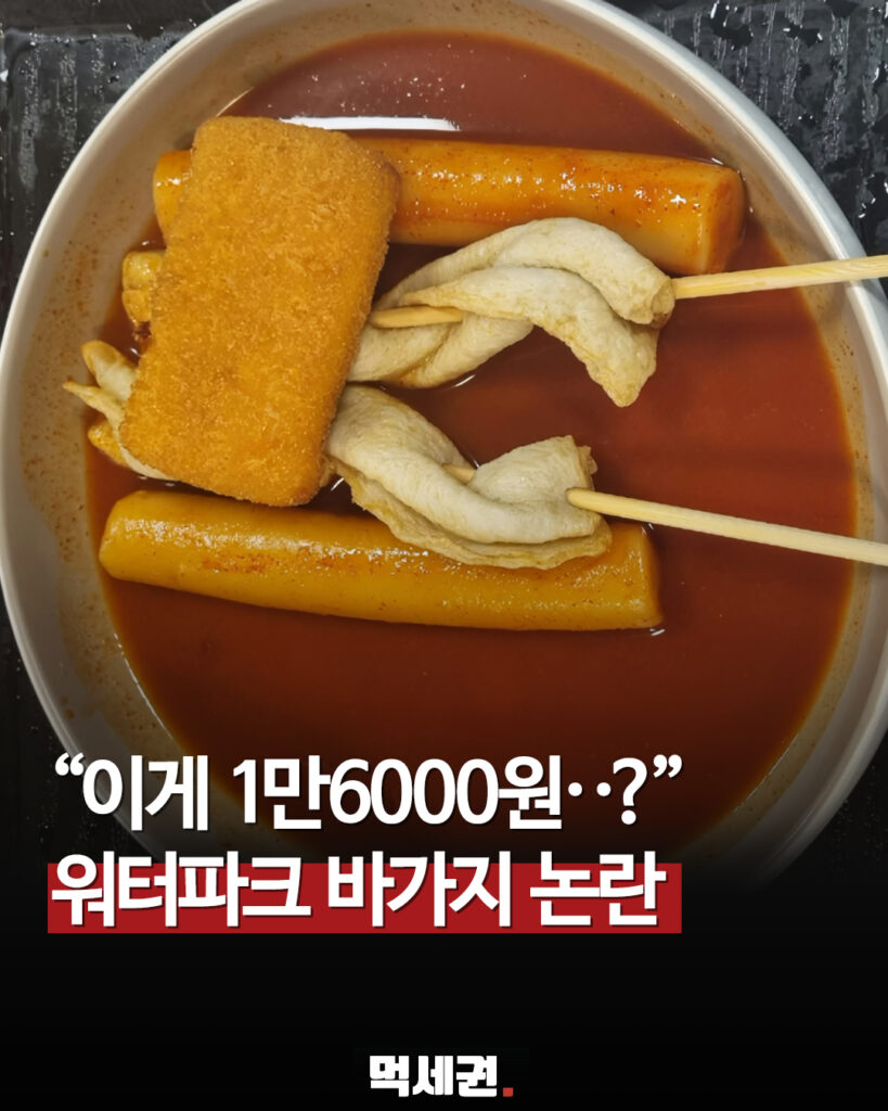 1만 6,000원 떡볶이 시켰더니 포장 수량 부족? 워터파크 내부 식당 논란, 위치 어디? 2 623 워터파크바가지 1