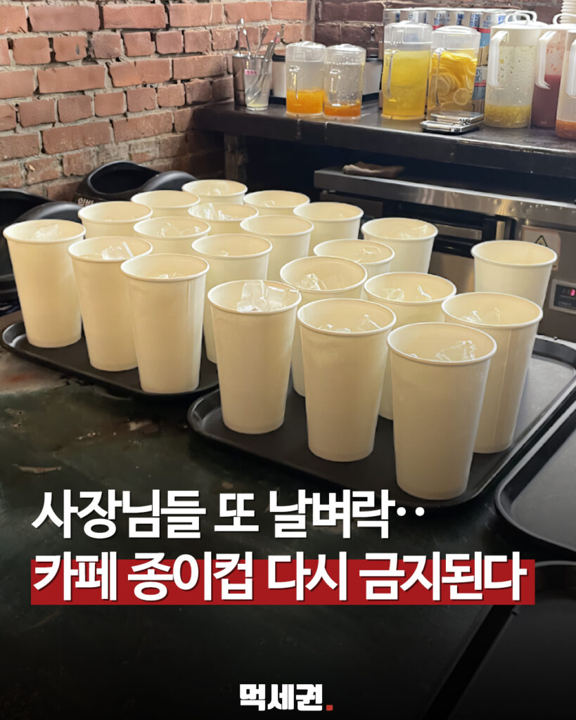 카페 매장 내 일회용 종이컵 금지 재추진…정부 규제 확대 검토, 시행일 2 631 카페종이컵규제