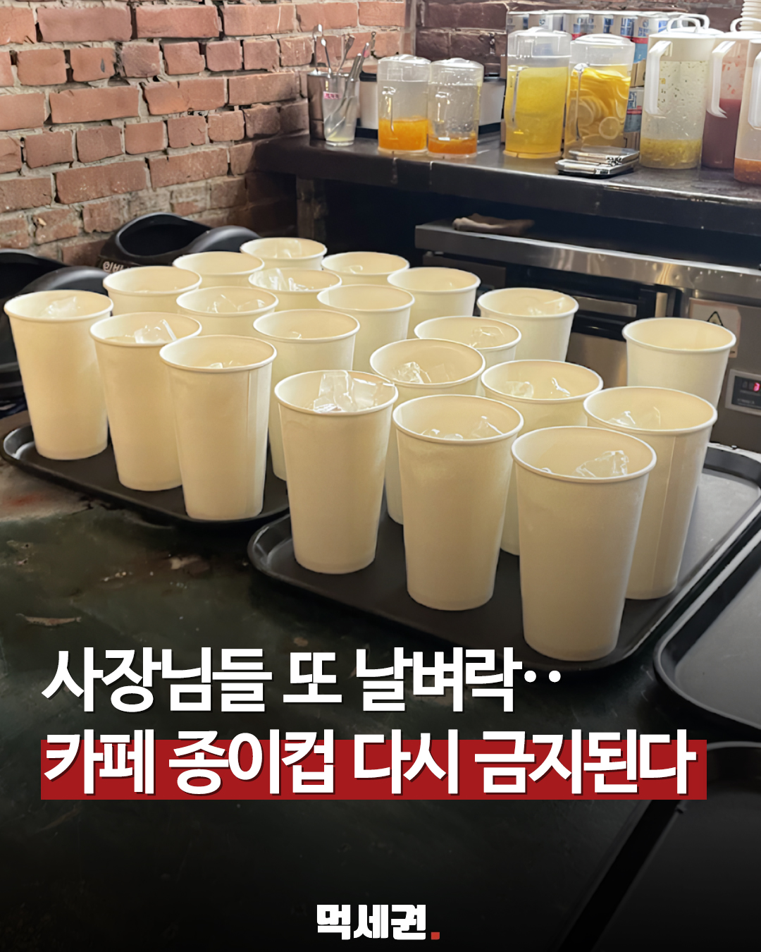 카페 매장 내 일회용 종이컵 금지 재추진…정부 규제 확대 검토