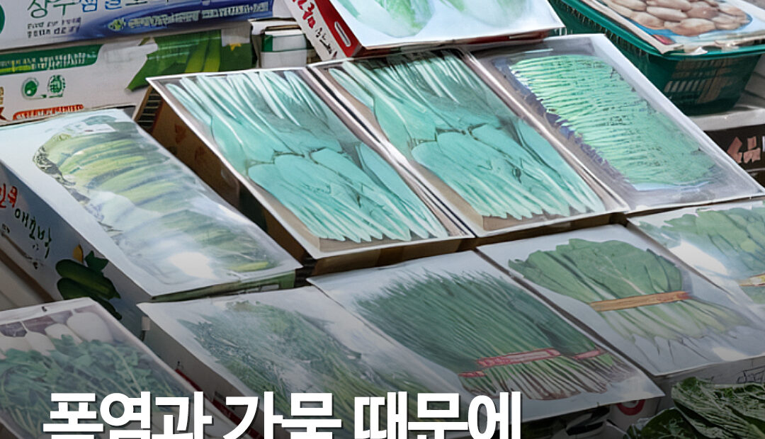 폭염에 시드는 채소 방지책…서울 농산물시장, 사진진열 판매 등장