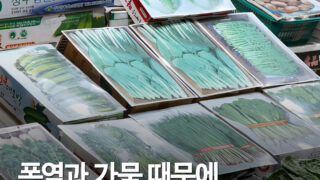 폭염에 시드는 채소 방지책…서울 농산물시장, 사진진열 판매 등장