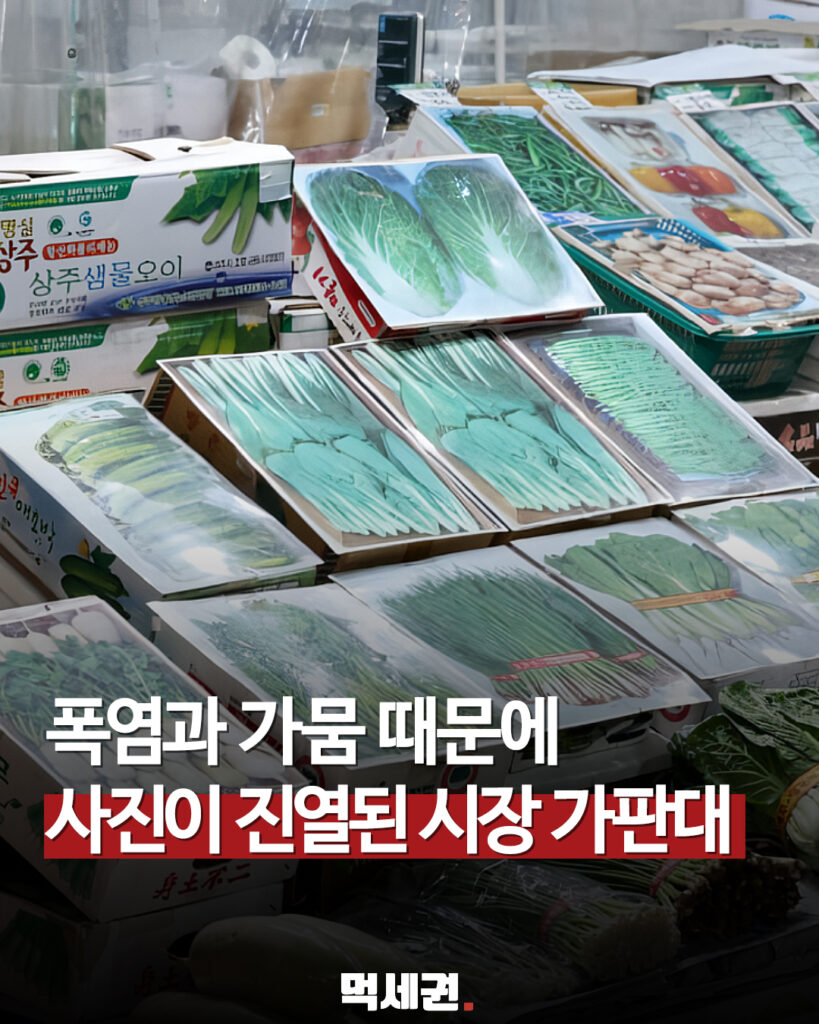 639 사진진열시장