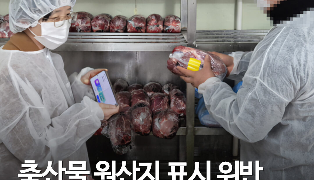 한우라더니 호주·미국산…축산물 원산지 위반 106곳 적발, 돼지고기 82건 ‘최다’