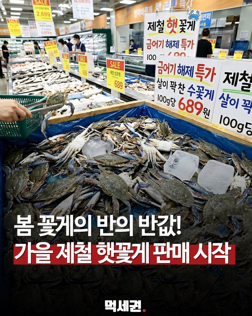 가을 꽃게철 시작…100g 680원대 ‘최저가 전쟁’, 이마트·쿠팡·컬리 가격은