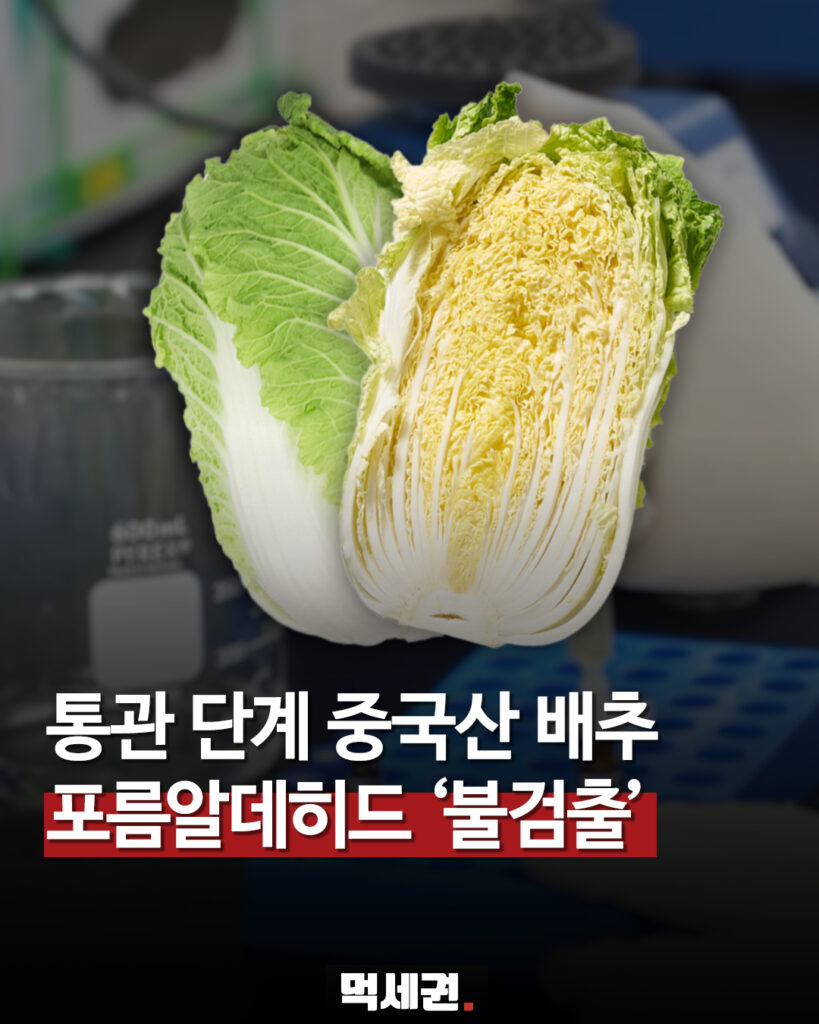 696 중국산배추