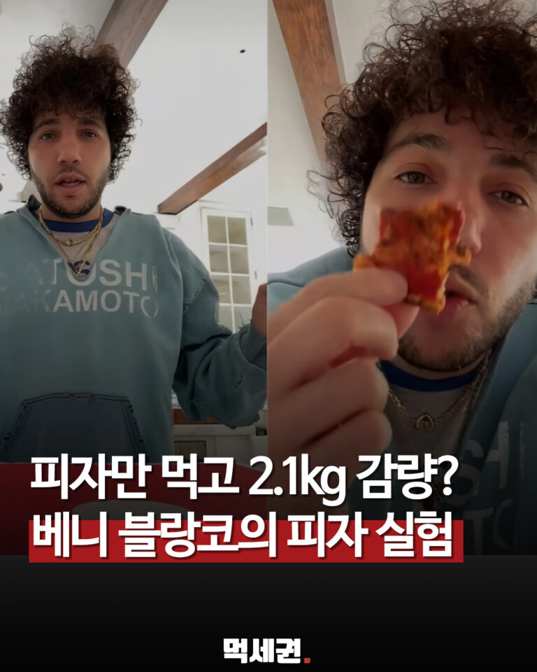 699 피자실험