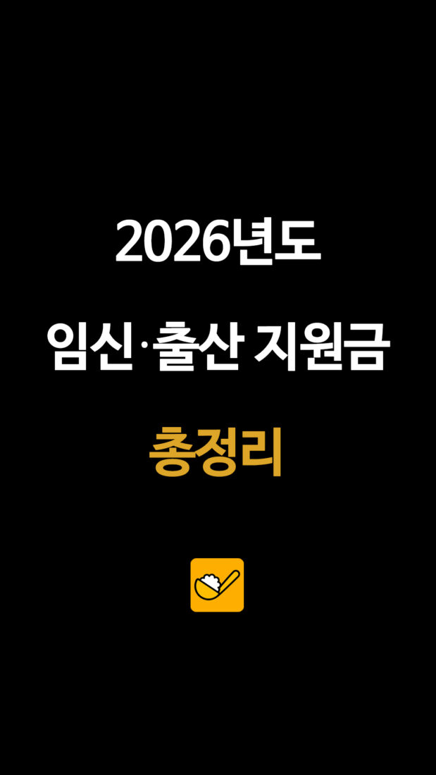 2026년도 임신•출산 지원금 총정리