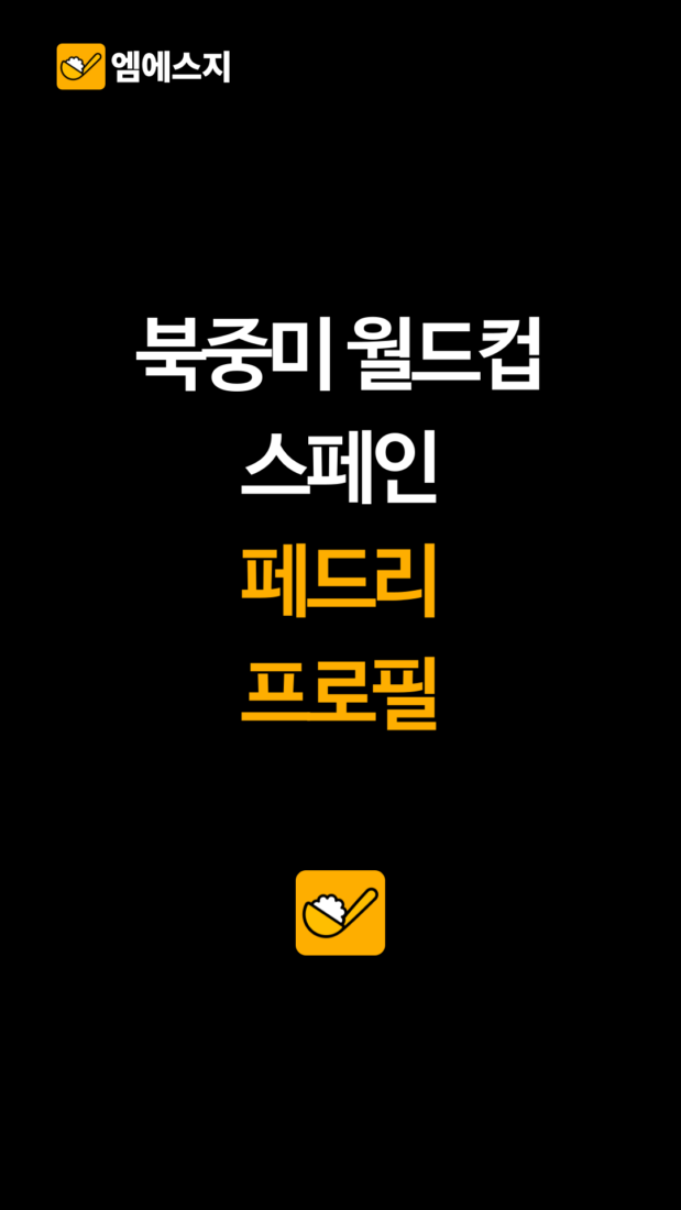 북중미 월드컵 스페인 페드리 프로필
