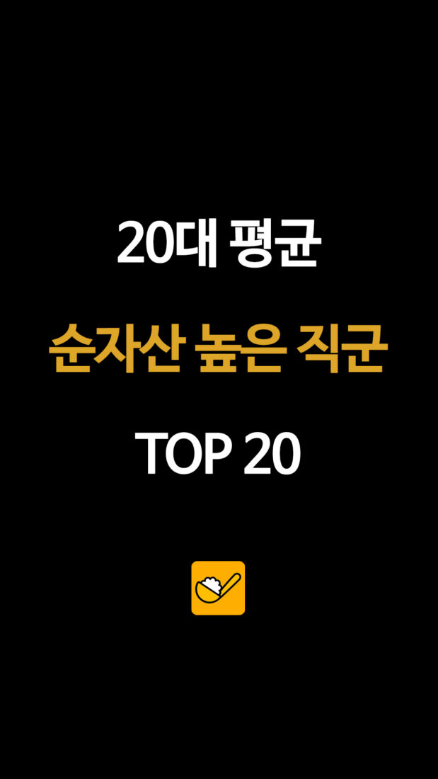 20대 평균 순자산 높은 직군 TOP 20