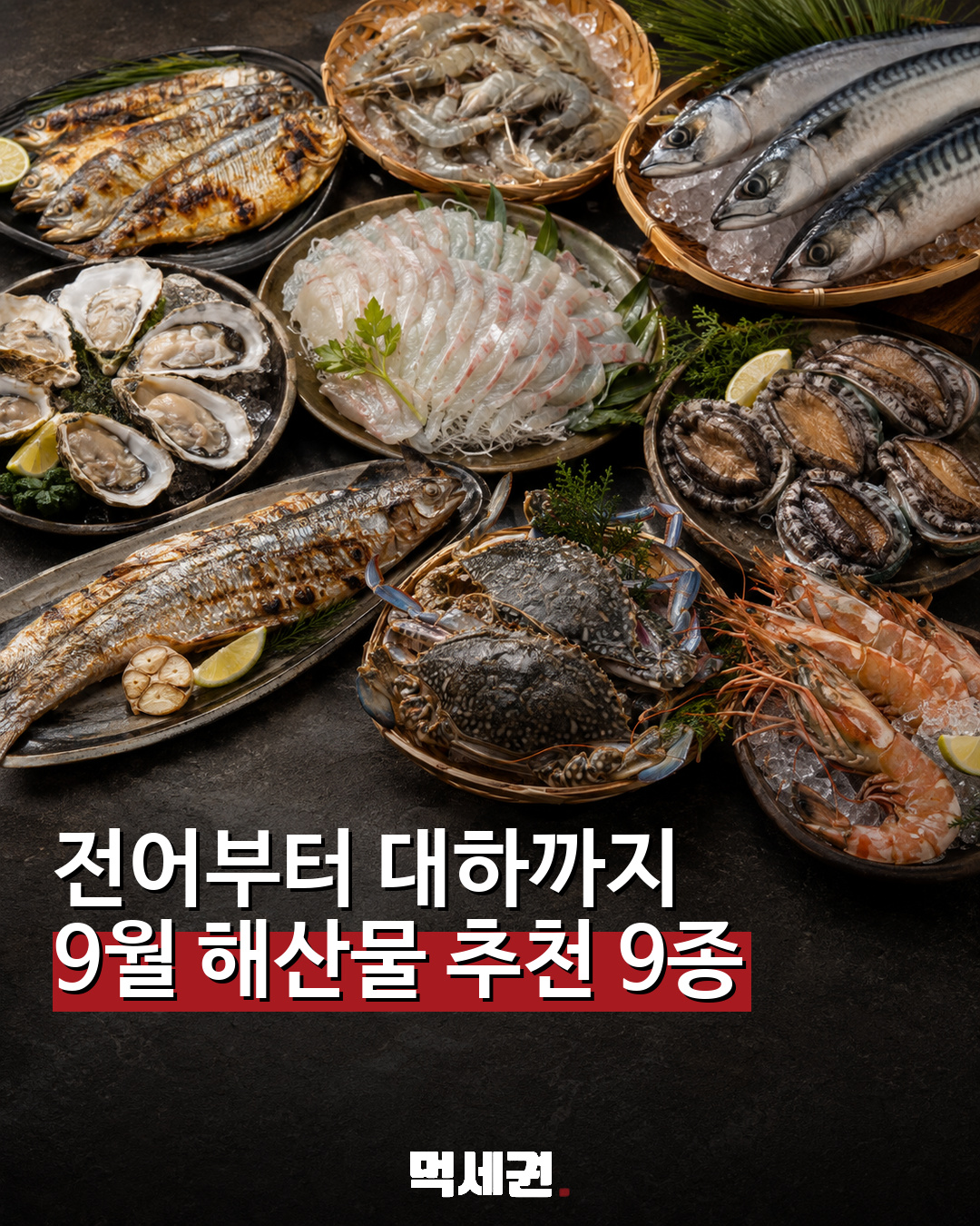 전어부터 대하까지…가을 식탁 채울 9월 해산물 추천 9종 관련 이미지 1