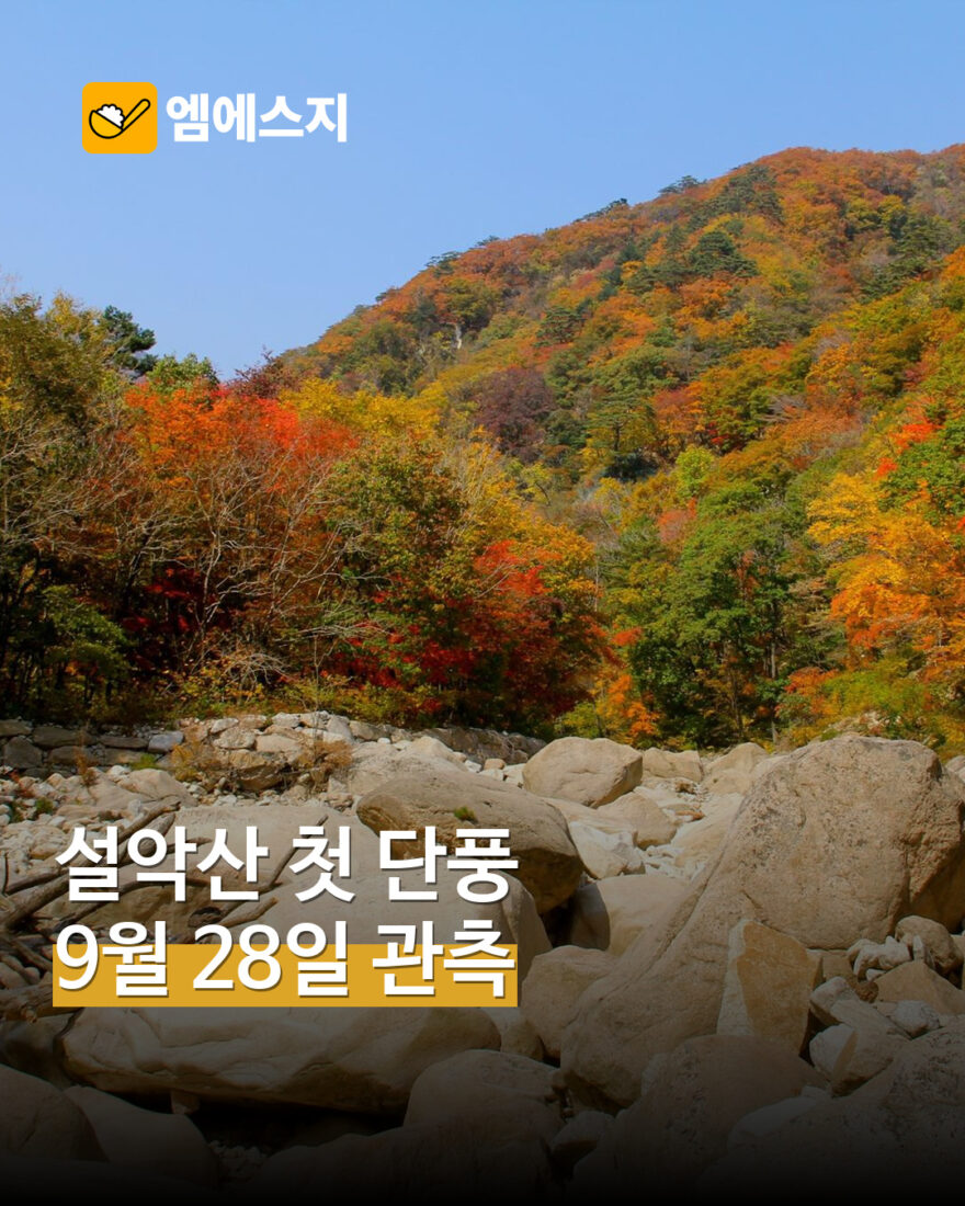 001 설악산 2026 첫 단풍 1