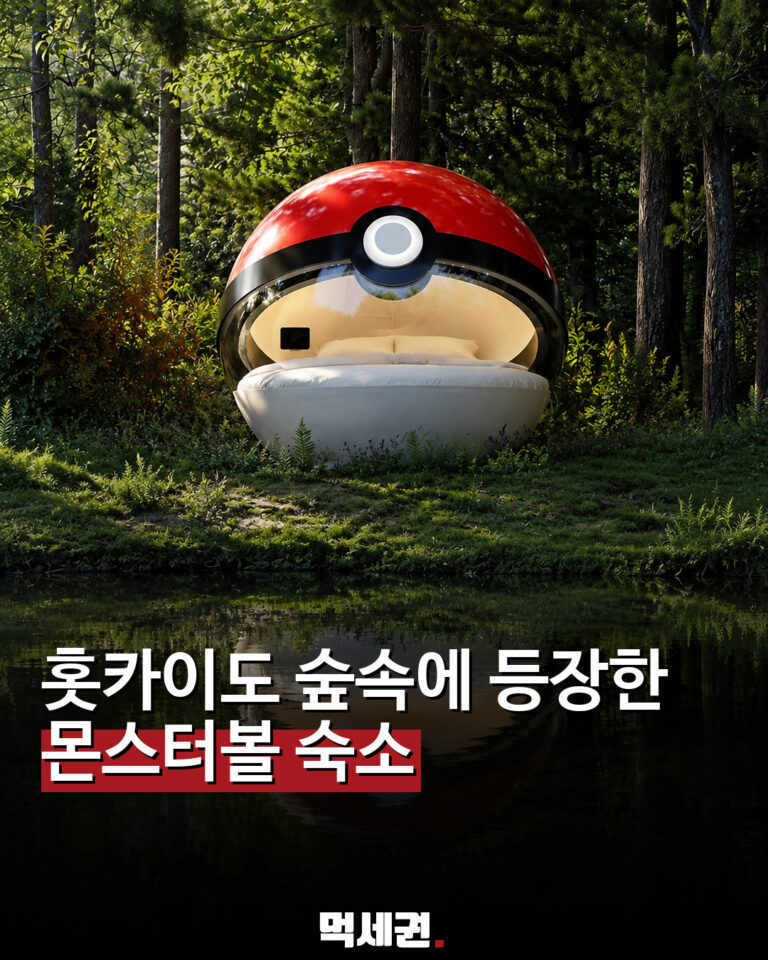 홋카이도 숲속에 몬스터볼 숙소 등장…당첨자만 묵을 수 있다 관련 이미지 1