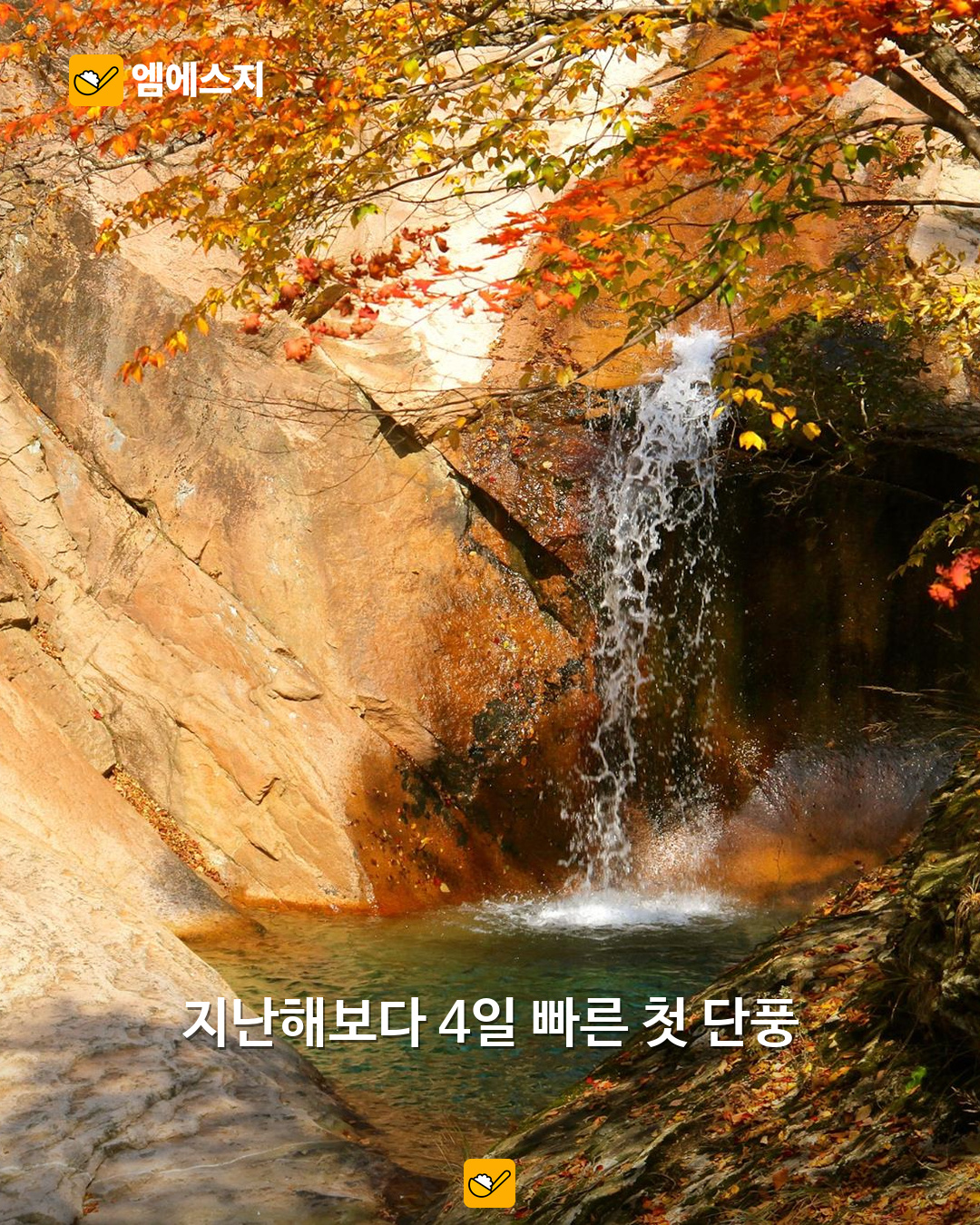 설악산 단풍 자료사진, 2015년