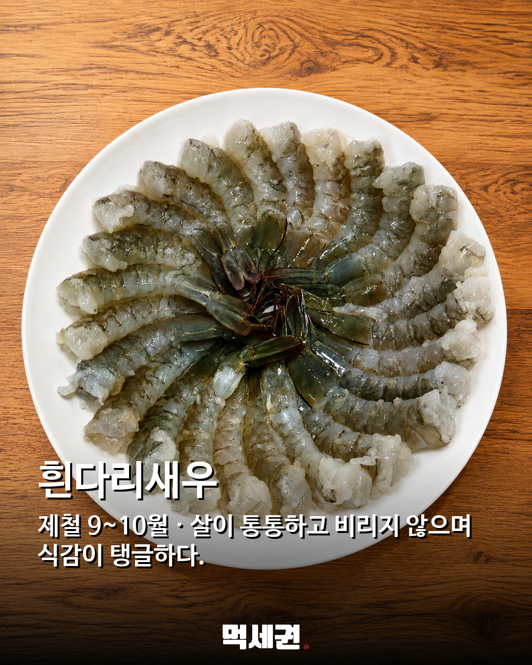 전어부터 대하까지…가을 식탁 채울 9월 해산물 추천 9종 관련 이미지 3