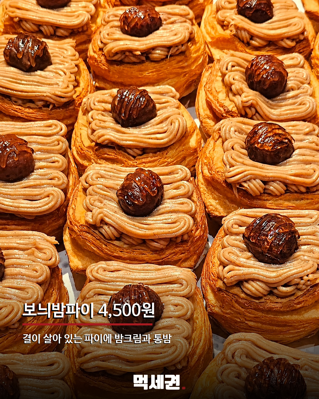 성심당 DCC점에 가을 밤빵 3종 등장…가격은 4000원부터 3 성심당 DCC점에 가을 밤빵 3종 등장…가격은 4000원부터 관련 이미지 3