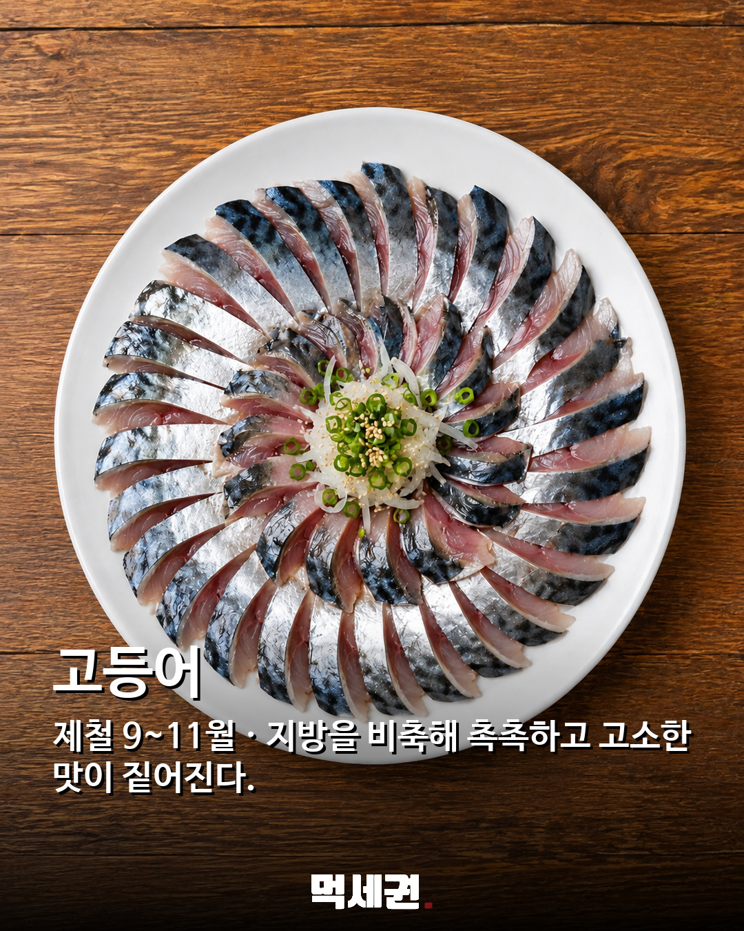 전어부터 대하까지…가을 식탁 채울 9월 해산물 추천 9종 관련 이미지 4