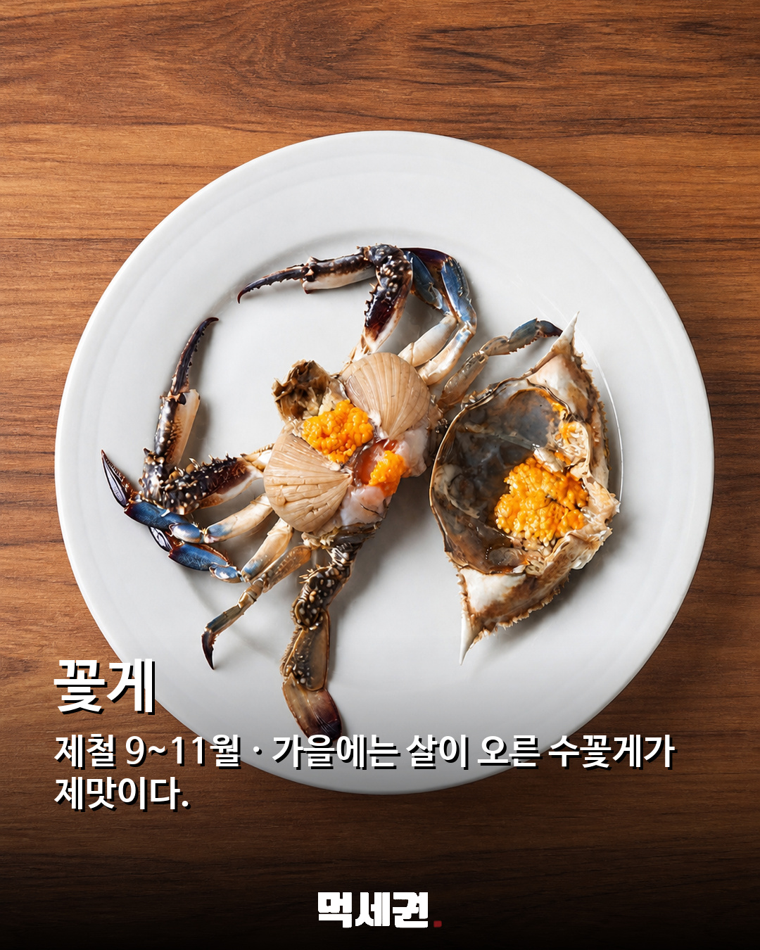 전어부터 대하까지…가을 식탁 채울 9월 해산물 추천 9종 관련 이미지 9