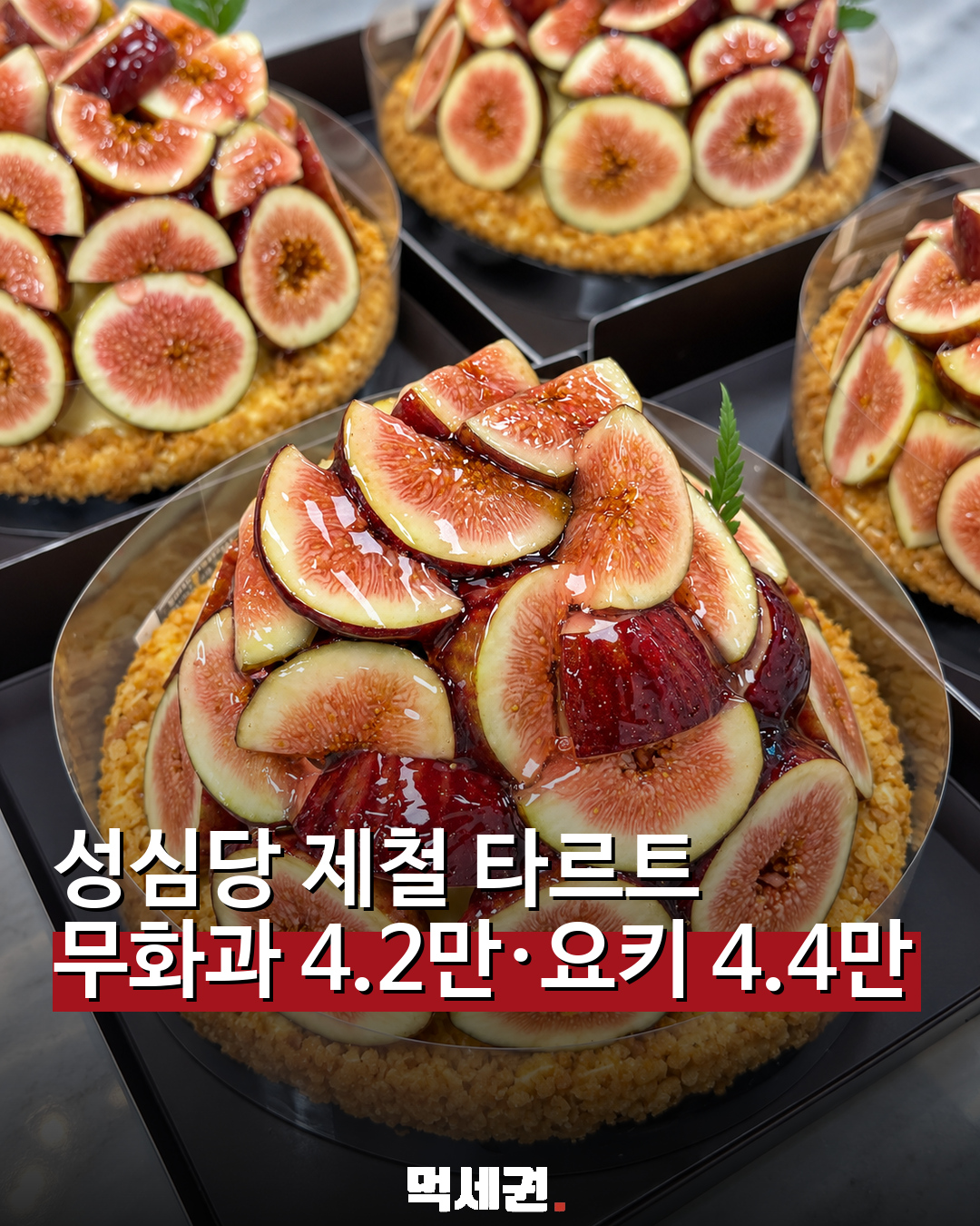 868 성심당제철타르트 1