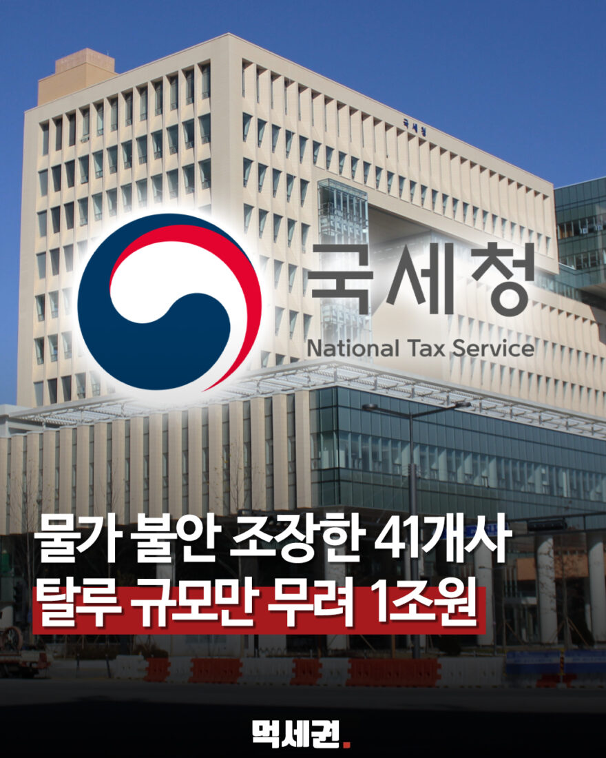 국세청 물가 불안 조장 탈세 혐의 세무조사