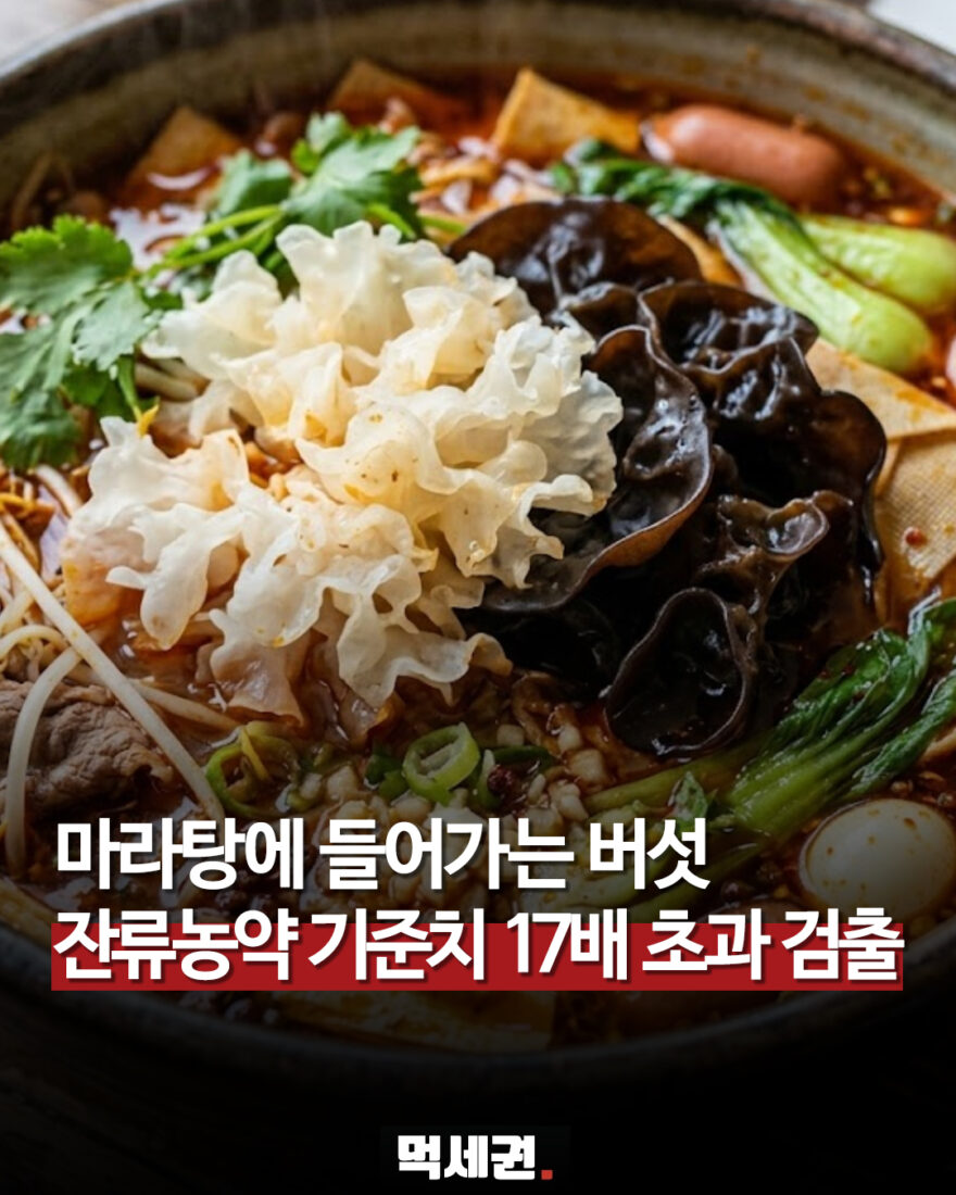중국산 목이버섯 잔류농약 초과 검출 안내