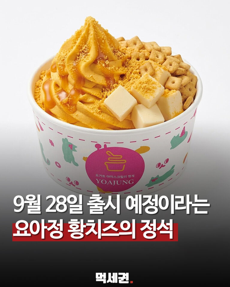 요아정 황치즈의 정석 출시 예정 제품 이미지