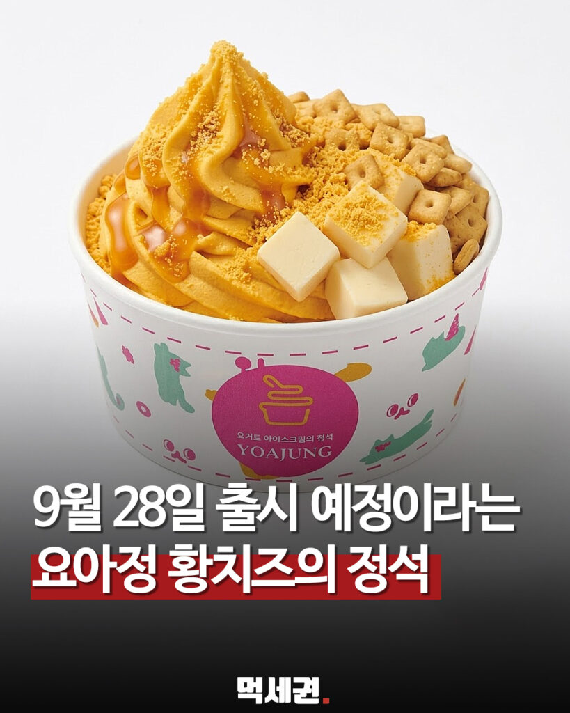 요아정 황치즈의 정석 출시 예정 제품 이미지