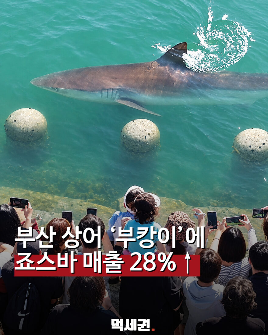 부산 상어 출몰과 편의점 죠스바 매출 증가를 표현한 재구성 이미지