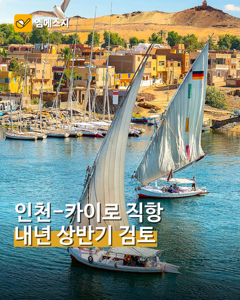 인천-카이로 직항 검토…내년 상반기 운항 가능성