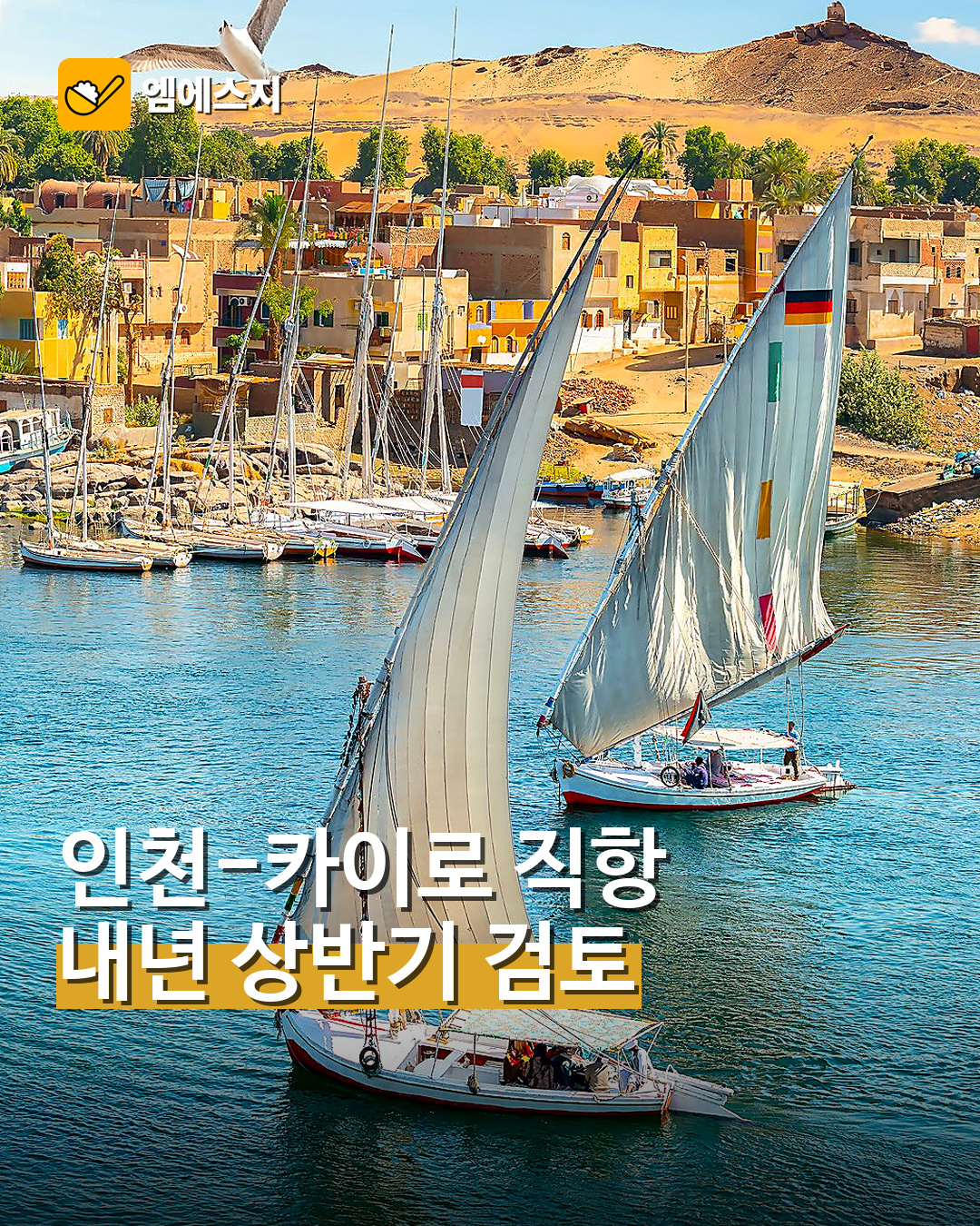 인천-카이로 직항 검토…내년 상반기 운항 가능성