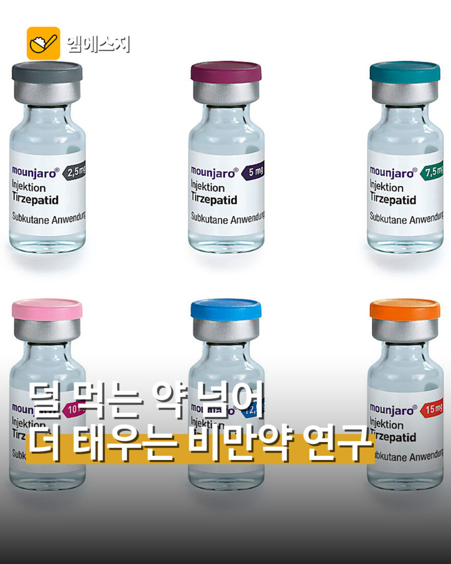 덜 먹는 약 넘어 ‘더 태우는 비만약’ 연구…핵심은