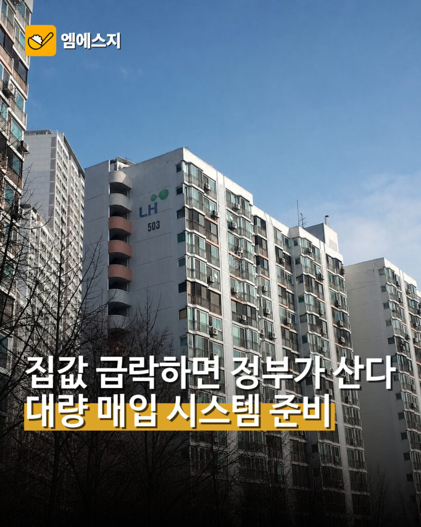 집값 급락하면 정부가 산다 대량 매입 시스템 준비
