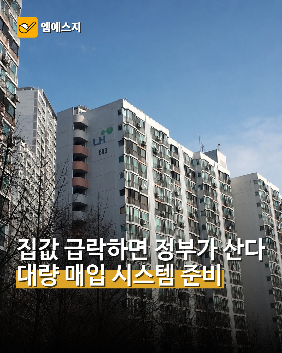 집값 급락하면 정부가 산다 대량 매입 시스템 준비
