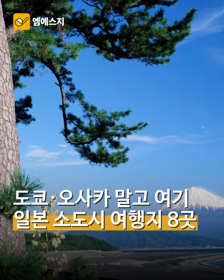 도쿄·오사카 말고 여기 일본 소도시 여행지 8곳