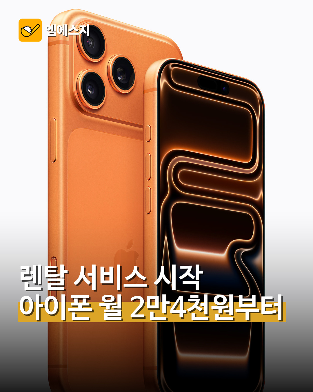 msg 668 001