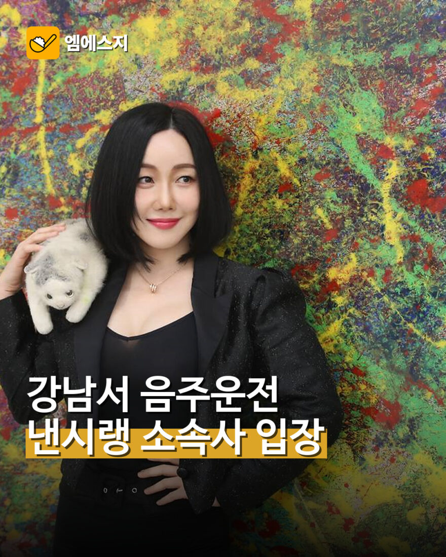 낸시랭, 강남서 음주운전 입건…소속사 “샴페인 2~3잔 마셨다”